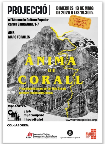 Anima de cristall